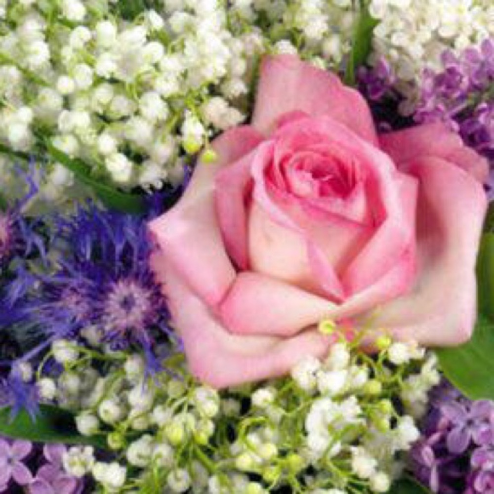 Meet your Posher, Rutza