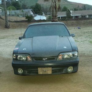 Meet your Posher, Jesus