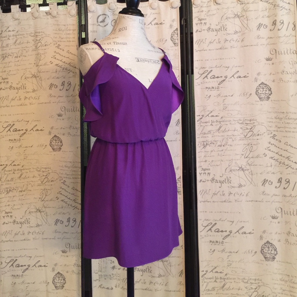 Purple Parker Dress