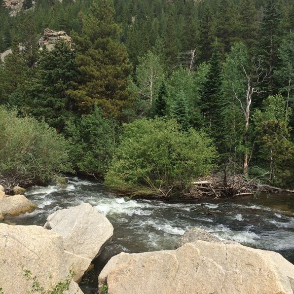 Meet your Posher, Shondra - Picture 1 of 1