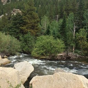 Meet your Posher, Shondra