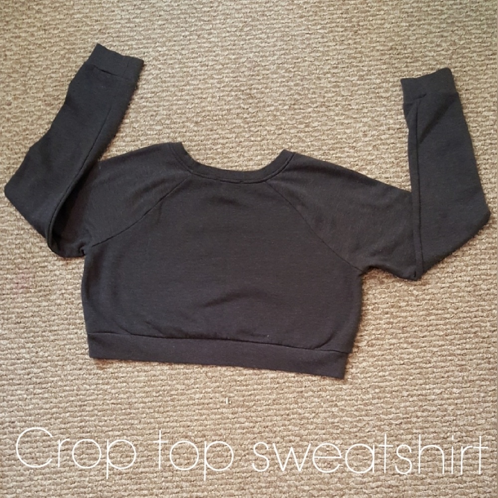 Grey crop top sweat shirt.