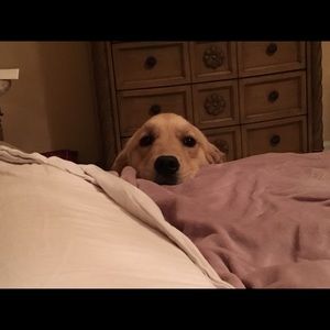 Meet your Posher, Sue