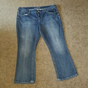 Maurices plus size jeans