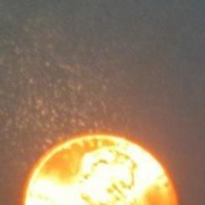 Meet your Posher, Penny