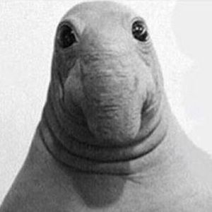 Meet your Posher, Mauricio