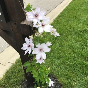 Meet your Posher, Adriana