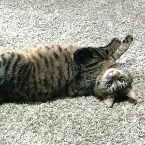 Meet your Posher, Kecia