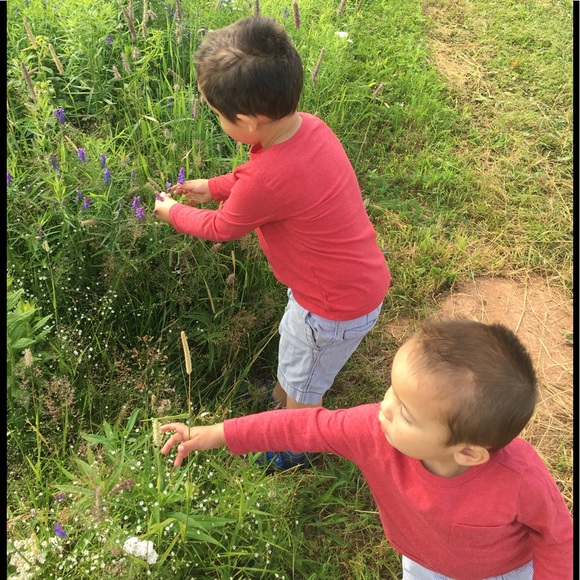 Meet your Posher ❤️ - Picture 3 of 3