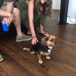 Meet your Posher, Jason