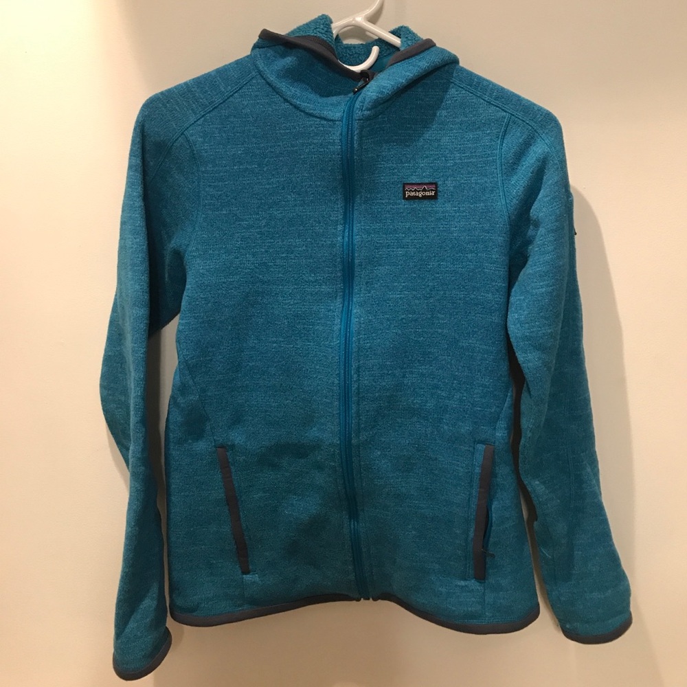 Patagonia Better Sweater Hoody