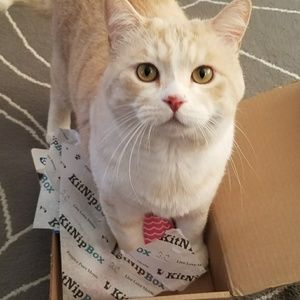 Meet your Posher, Julie