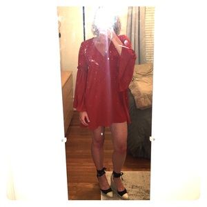 Zara Statement Sleeve Mini Dress