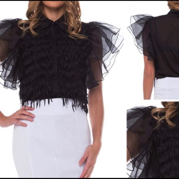 Sheer Blouse - Picture 1 of 1