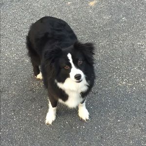 Meet your Posher, Jill