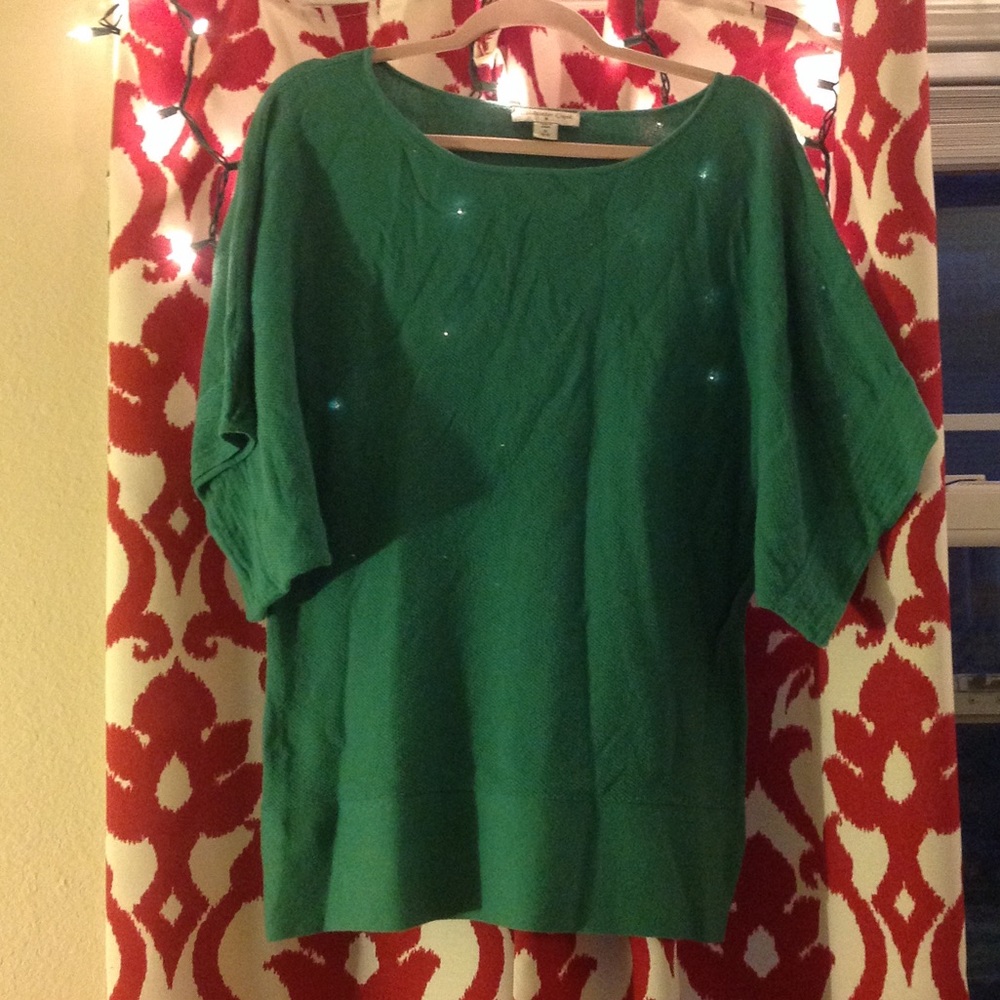 Coldwater Creek green lightweight sweater