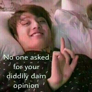 Meet your Posher, Lyndon