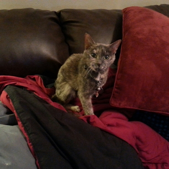 Meet your Posher, Annice - Picture 1 of 1