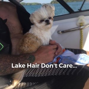 Meet your Posher, Lisa