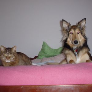 Meet your Posher, Leslie