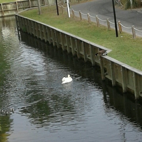 Meet your Posher, Stephanie - Picture 1 of 1