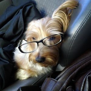 Meet your Posher, Cindy