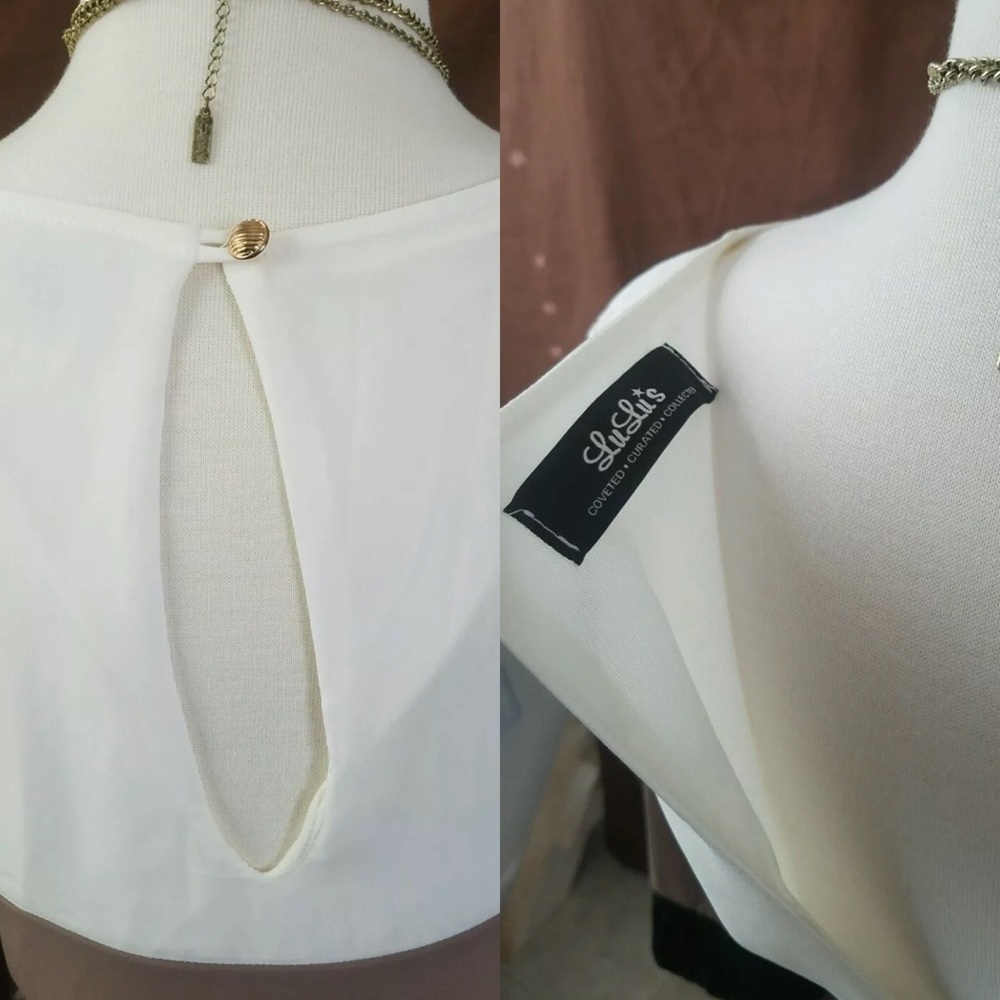 👗SALE👗Lulus color block shift dress - Picture 4 of 7