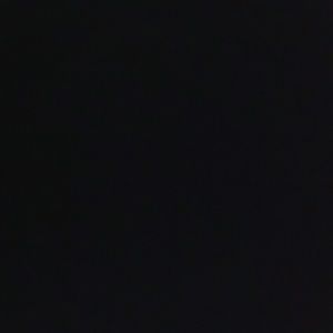 Meet your Posher, Dominique