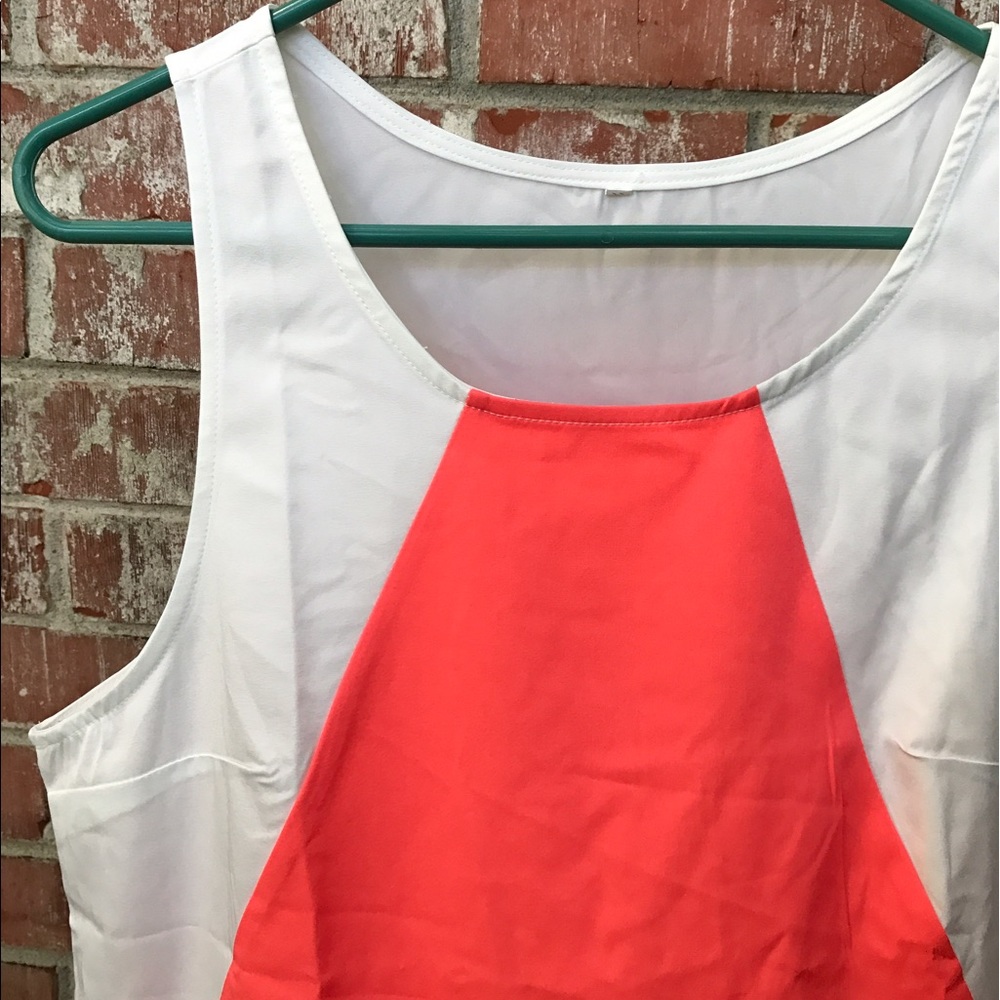 SheInside Color Block Dress - Picture 3 of 6