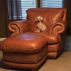 Meet your Posher, Tamara