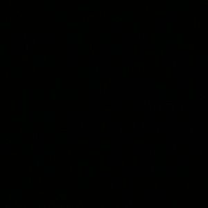 Meet your Posher, Tashila