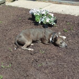 Meet your Posher, Thomas