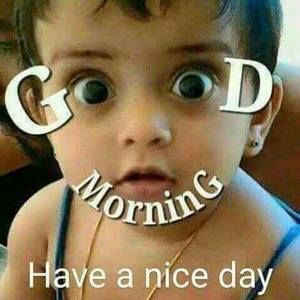 Meet your Posher, Dane