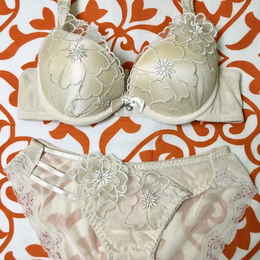 Cream Floral Lace Mesh Appliqué Push-up Bra Set