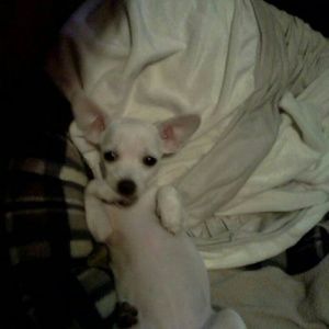 Meet your Posher, Cindy