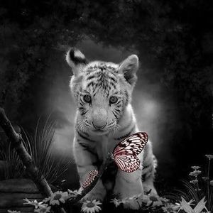 Meet your Posher, Sheila