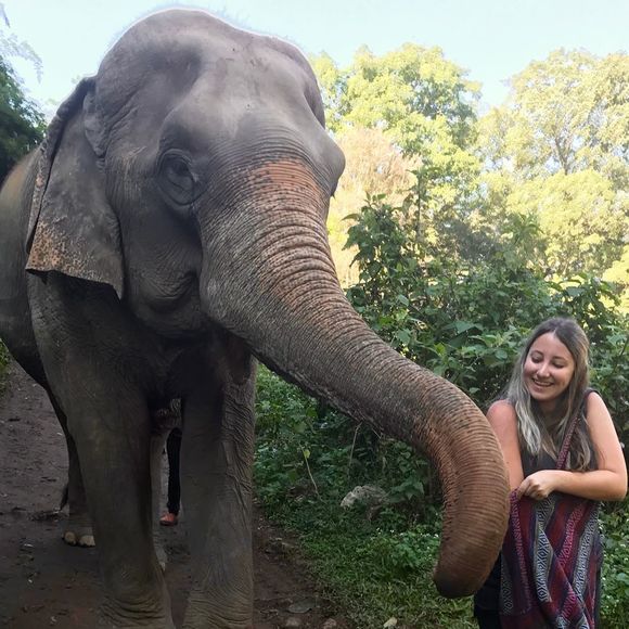 Meet your Posher, Mikk - Picture 1 of 1