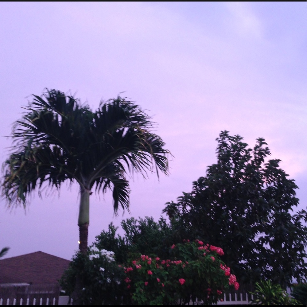 Meet your Posher, Sav