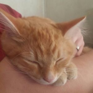 Meet your Posher, Brandi