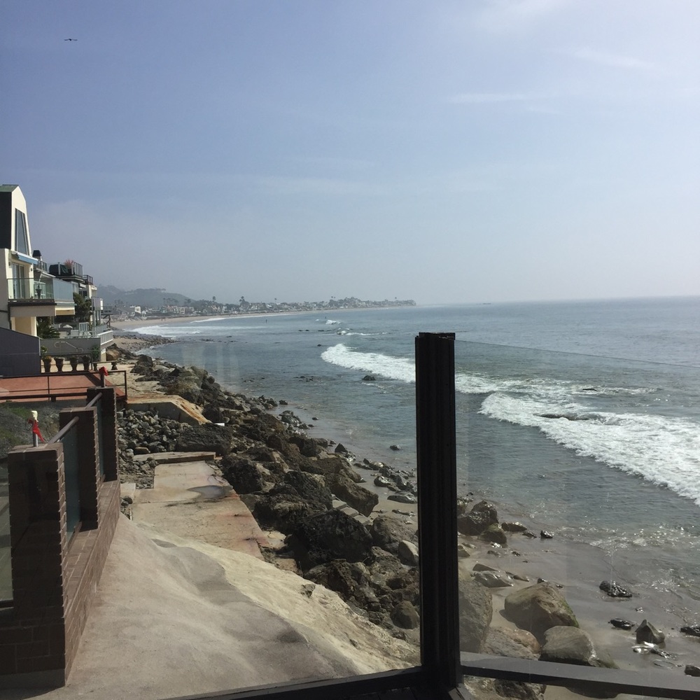 Meet your Posher, Mickey!