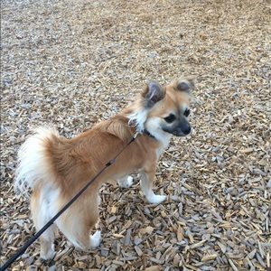 Meet your Posher, Daniela