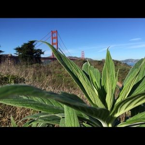 Meet your Posher, Alka