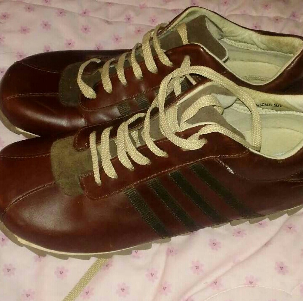 Steve madden sneakers