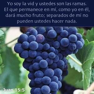 Meet your Posher, Daniela