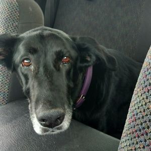 Meet your Posher, Lori