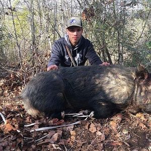 Meet your Posher, Luke