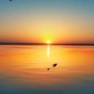 Meet your Posher, Cesario