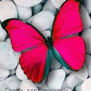 Meet your Posher, Elda