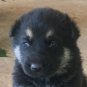 Meet your Posher, Jorge