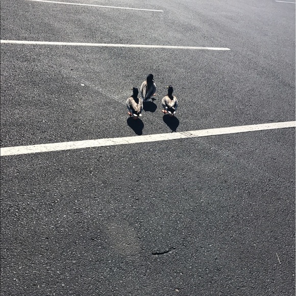 Meet your Posher, Michael - Picture 1 of 1